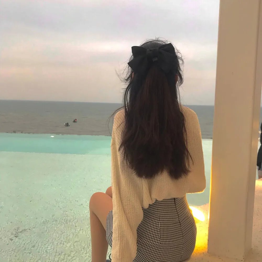 翼龙